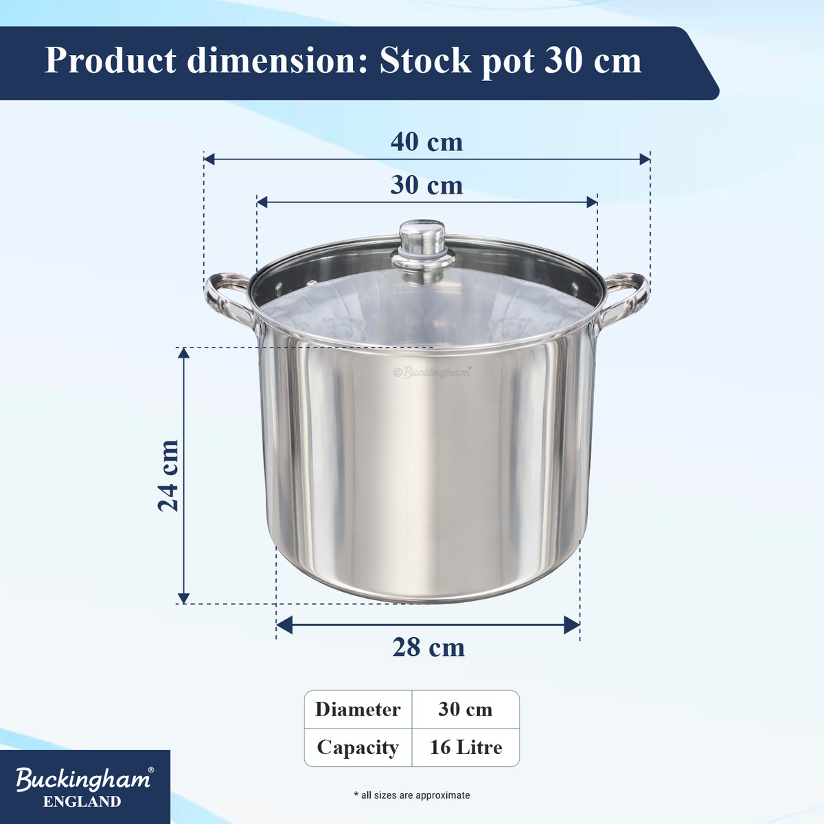 Buckingham Premium Stainless Steel Stock Pot with Glass Lid