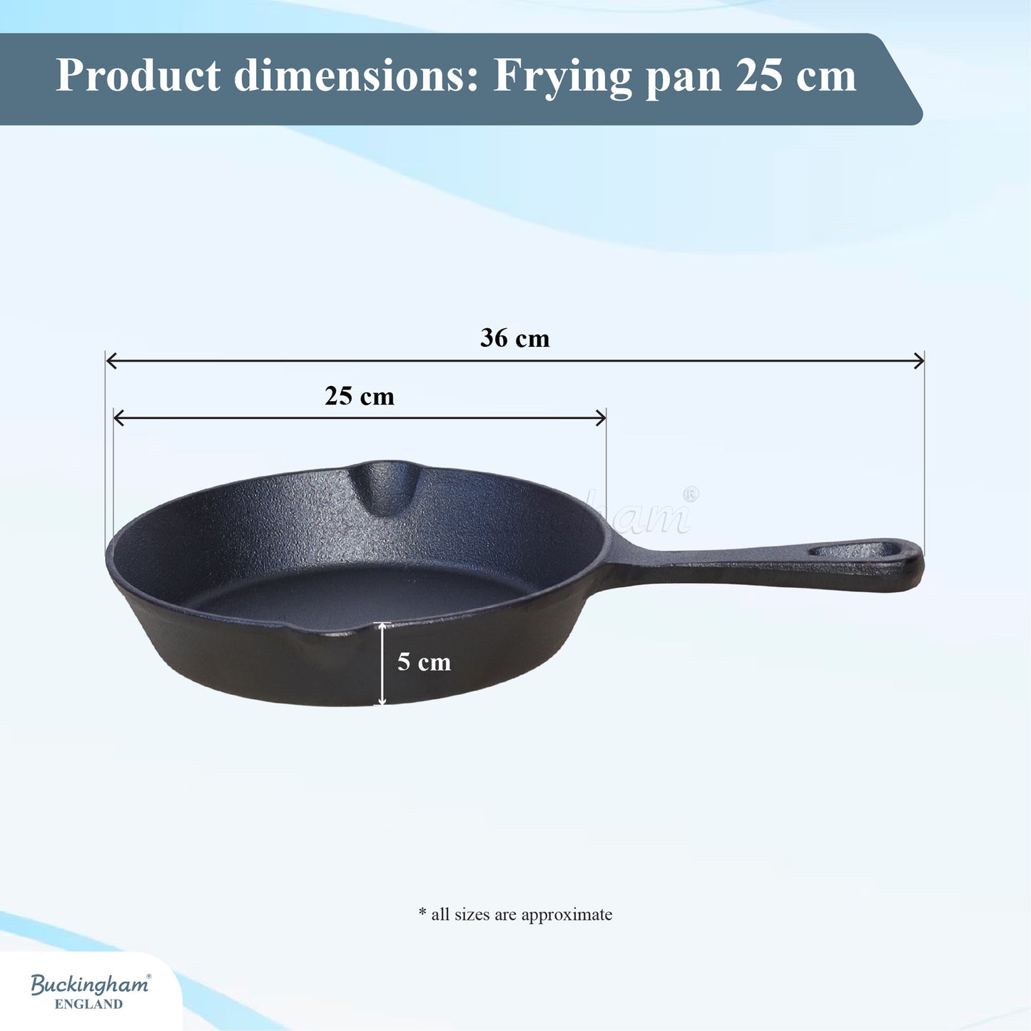 cast iron frying pan