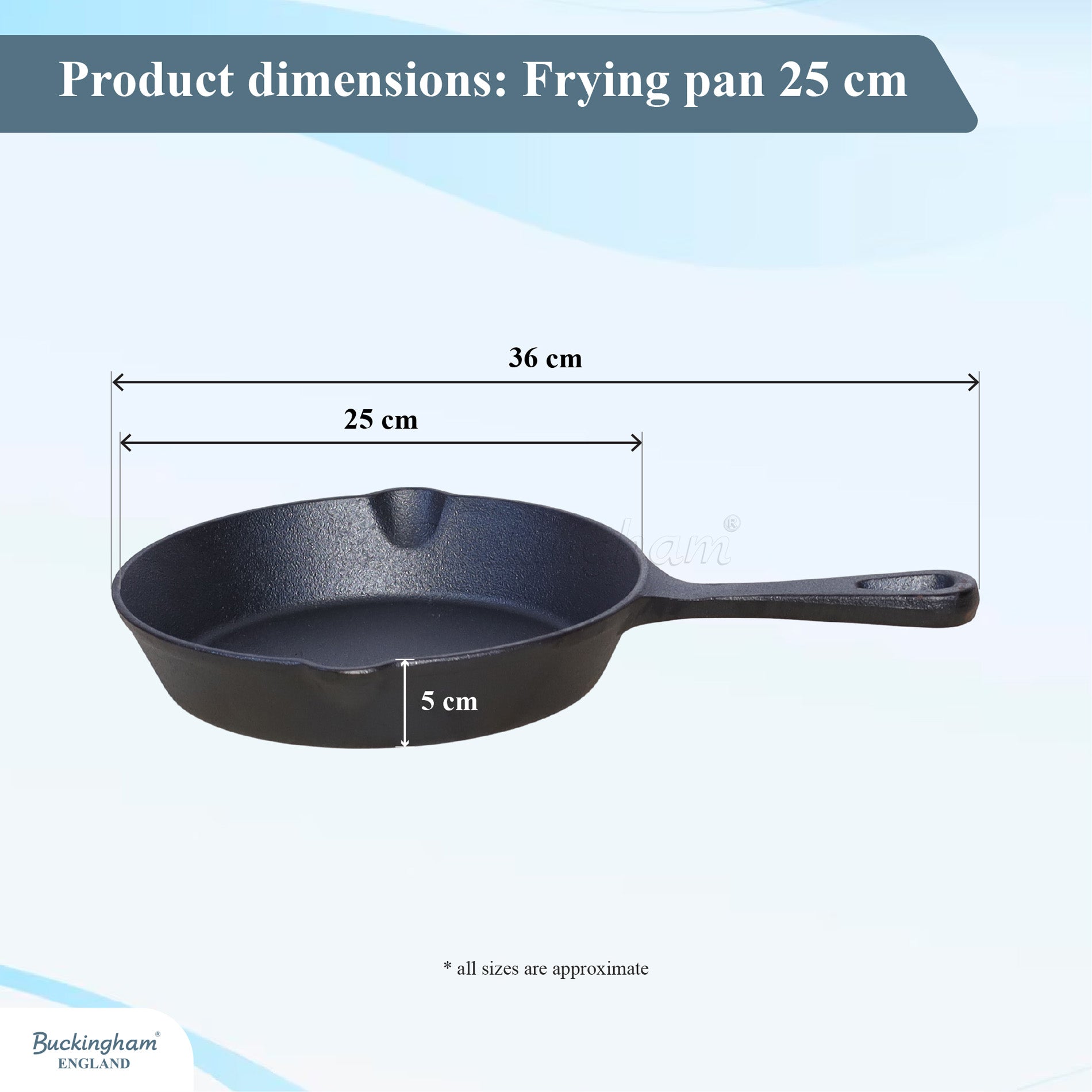 cast iron frying pan