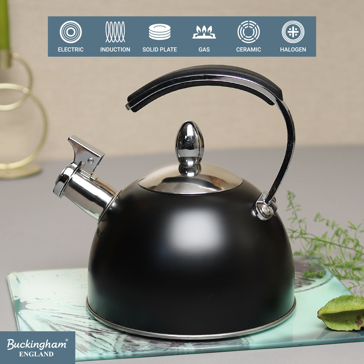 Stove Top Kettle | Black | Infographics