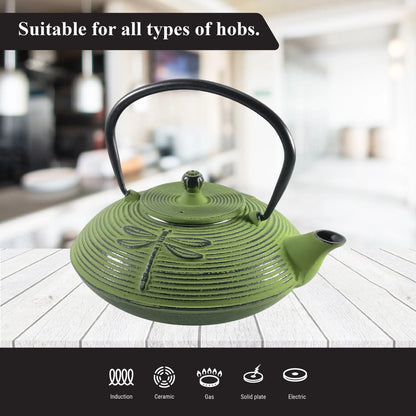 Cast Iron Tea Pot 