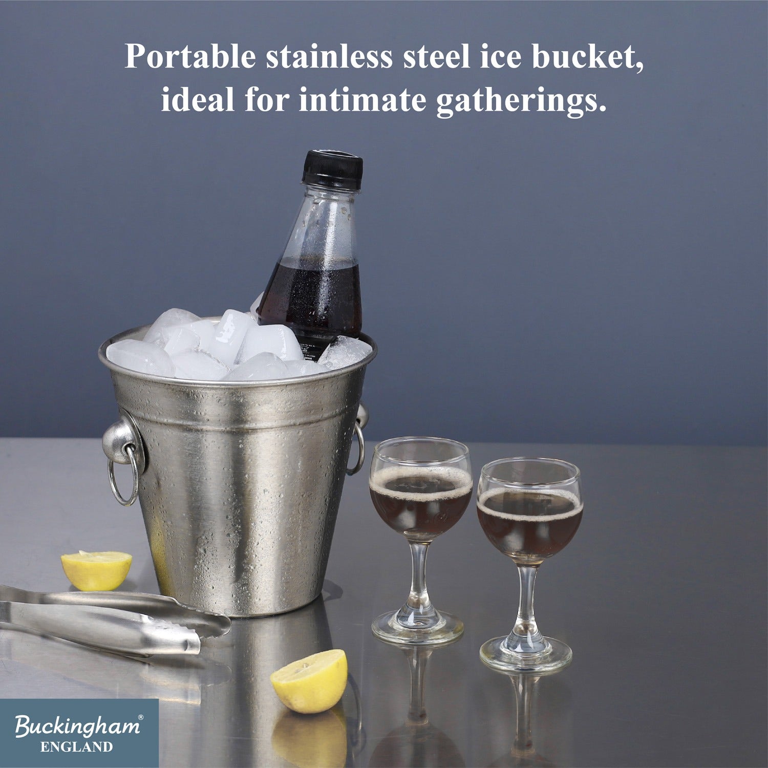 mini ice bucket
